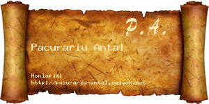 Pacurariu Antal névjegykártya
